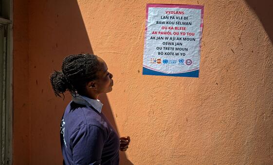 人道主义事务协调厅危机应对司司长埃德姆·沃索努于2026年3月访问海地。